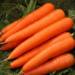 Carrots