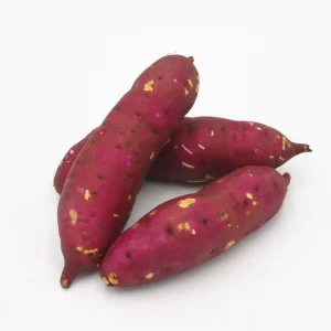 Japanese Sweet Potato